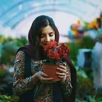 Sally Mostafa