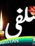 Salfi I...
