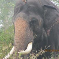 Udhyakumar Murugesan