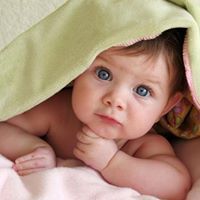 ساجدة الصواف