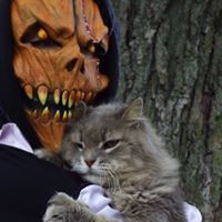 Darci Wierema-Sutter