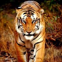 Ujjawal Singh
