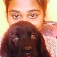 Nivedhaa Kumar
