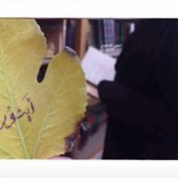 أينور الشلوي