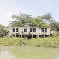 তরং সরকারি