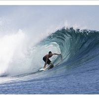 Steve McGough