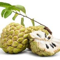 Diệp Lạc