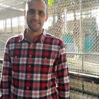 Ahmed Elhawaty