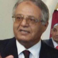 Walaa Eladawy