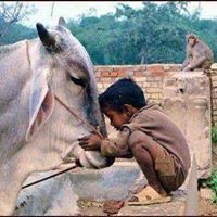 Indra Reddy