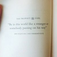 Ramsha Ilyas