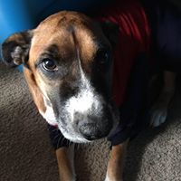 Ivan Alejandro Escobar Broitman