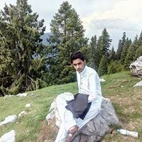 Naveed Alam