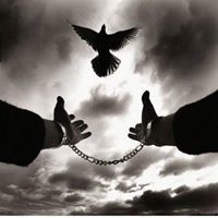 صابر عبدالعظيم