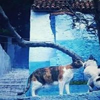 الثائرة الشقراء