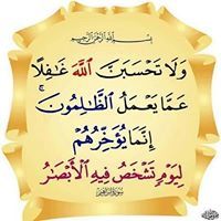 محمد عبد القوي