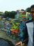 Misnoto