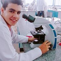 Mahmoud Ahmed