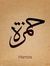 Ahmed E...