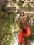 Neha Sr...