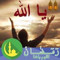 رضا العجيري