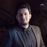 الأعلامي مصطفى