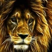 حوده العمده