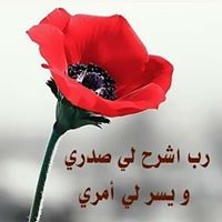 اشرف عبد العال