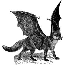 Alexander Leo Swenson