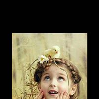 সুখের নীড়