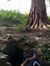 Sumit K...