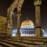 محمد حيفاوي