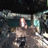 анна борисова