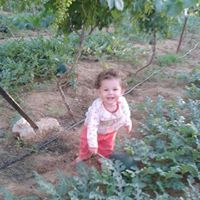 Mohamad SH