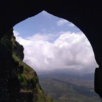 वैभव शेवाळे