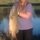 Sue Mesaritis-Freeman