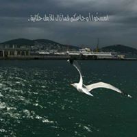 أميرة الذوق