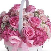 ج.وجيه الصائغ