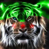 علوش العلوش