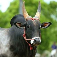 Suresh Kumar