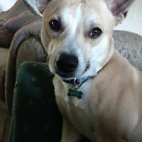 Benjamin Christopher