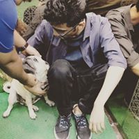 Tim Saju