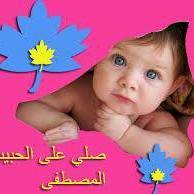 ايمي الزيني