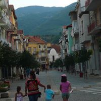 Елена Костадинова