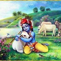 मोहित गंगवार