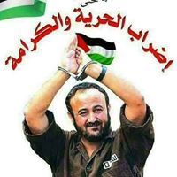 سليمان البسيوني