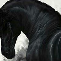 عادل الشمري