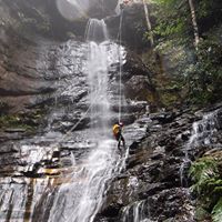 Angie Chesney-Mattison