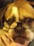 Bonnie