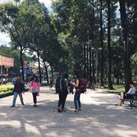 Zulaiqah Abdul Rahim